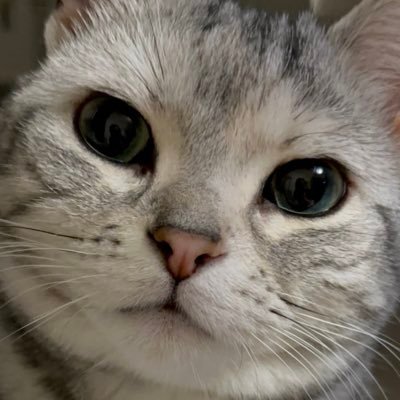 ばぐ‎🍒未唯さんのプロフィール画像