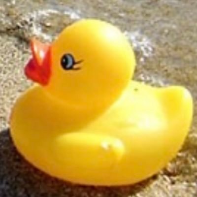 どん兵衛☄ Fioさんのプロフィール画像