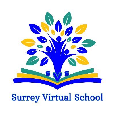 Work with the amazing team at Surrey Virtual School