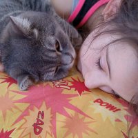 Nihal (@nihalpkr) 's Twitter Profile