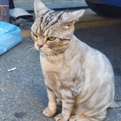 rlagkdud4487's profile picture. 프론트 개발 하고 있어요