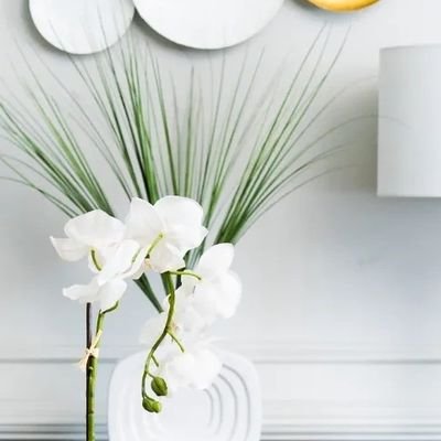 44kristinicole's profile picture. Positive Mindset Mentor. Lifestyle Blogger. YT: KristiTV