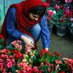 Zahra (@zahraarmioun) Twitter profile photo Zahra (@zahraarmioun) Twitter profile photo