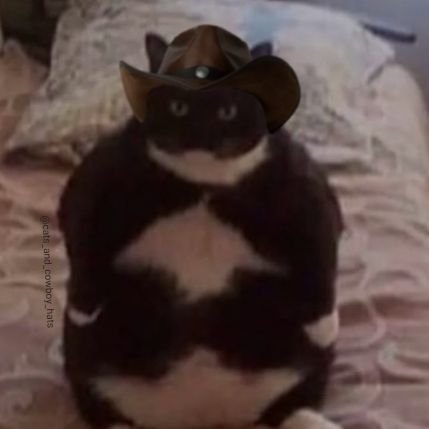 kpmoving's profile picture. 