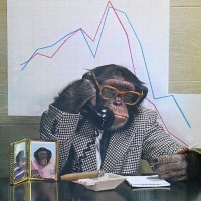 Just a Monkey hodling #bitcoin