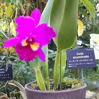 Kentarou4179's profile picture. 裏アカの様なもの
バツイチ子無し
車有り
仕事に忙殺されてる
癒しが欲しい疲れてる40代おじさん(　´灬`　)