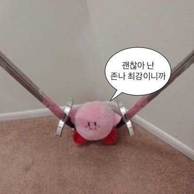 heeyol0's profile picture. 주니어 FE 개발자 / 📚 🧘 🎧 🍫