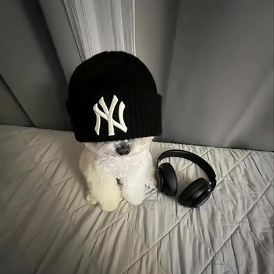 CoCokkyy's profile picture. 4i小狗一枚吖