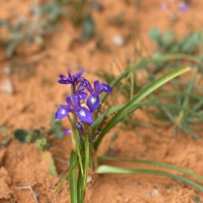 Kayan35421426's profile picture. "وفي السماء رزقكم وماتوعدون"