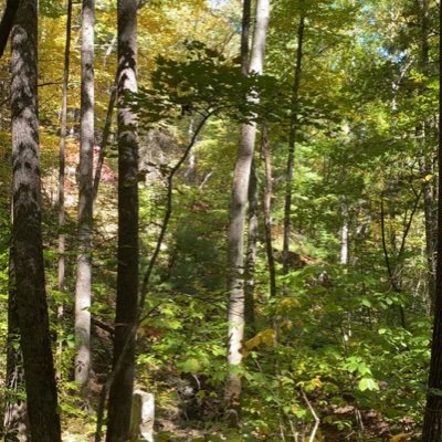 Briiddle's profile picture. 