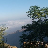نعم (@nm50389015) Twitter profile photo