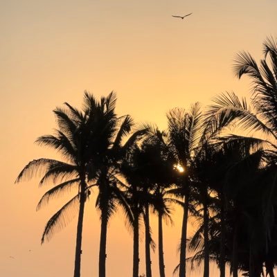 مُحب برامج الواقعيه ....اللهم ارحم موتانا وموتى المسلمين واشفي مرضانا ومرضى المسلمين، واللهم اغفر للمسلمين والمسلمات والمؤمنين والمؤمنات الأحياء منهم والأموات