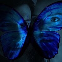 ash 🦋(@b1u3butterflies) 's Twitter Profile Photo