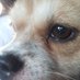 thuyet7883 (@thuyet788308) Twitter profile photo thuyet7883 (@thuyet788308) Twitter profile photo
