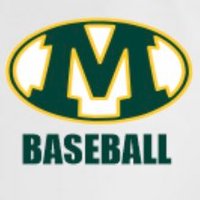 Medina Bees Baseball(@MHSBaseballBees) 's Twitter Profileg