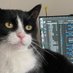 MARCUSTHEFICUS (@marcustheficus) Twitter profile photo MARCUSTHEFICUS (@marcustheficus) Twitter profile photo