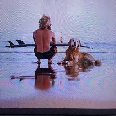 Glock2314's profile picture. Constitutional Conservative, Pro Guns, Lots on Hand