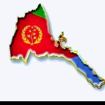 DanielH55459312's profile picture. 