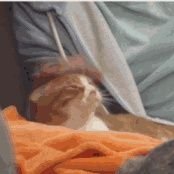 yida777777's profile picture. 我发现，如果人没有些执念根本活不下去。