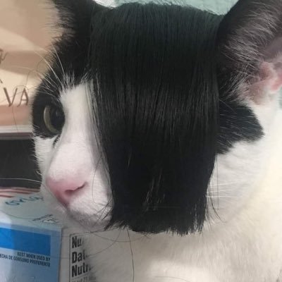 siligueraさんのプロフィール画像