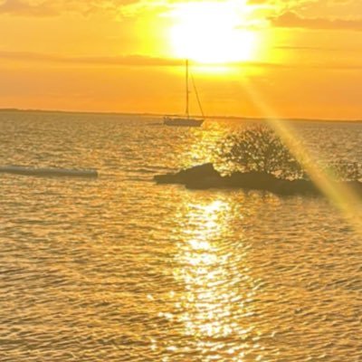 Xcorpion18's profile picture. 