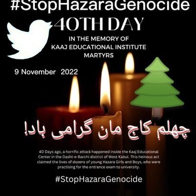 🌲#StopHazaraGenocide🌲