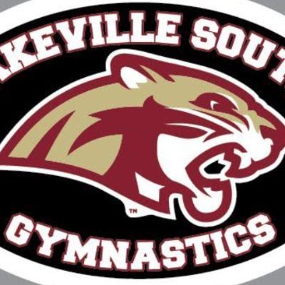 LSHSGymnastics's profile picture. 