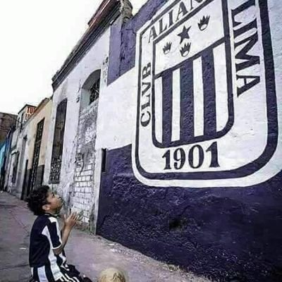 Carlos74102682's profile picture. Alianza Lima ⏺️⚪️⏺️ 1901 / 
Una forma de vivir que trasciende del futbol / Un hincha mas a muerte