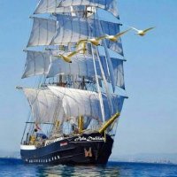 Mòhamod Äfïfi⚓️Marine engineer.. (@mohamed57080619) Twitter profile photo