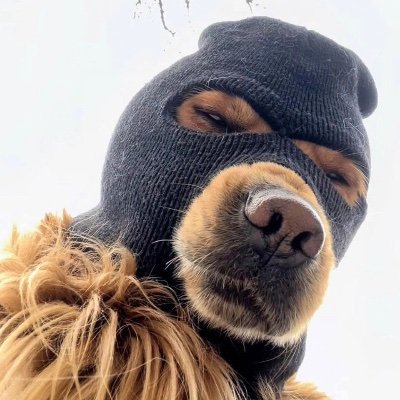 failedconsumer's profile picture. consumer gone rogue