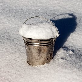 bucket_snow's profile picture. =