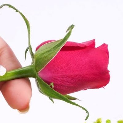 Taking good care of Yourself and ur family ain’t easy Task, therefore let your love lead you to eternal peace.