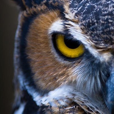 tamersadek20022's profile picture. 