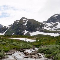 Ruth Cassidy (@velcrocyborg) 's Twitter Profile