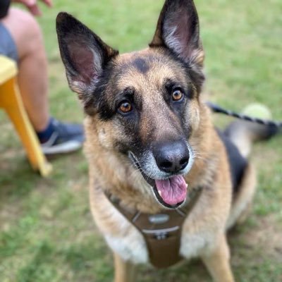 InfamousFatty's profile picture. 