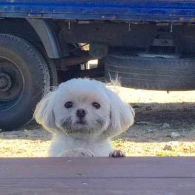 marry___yyou's profile picture. 미남을 그만 사랑하고 싶어요