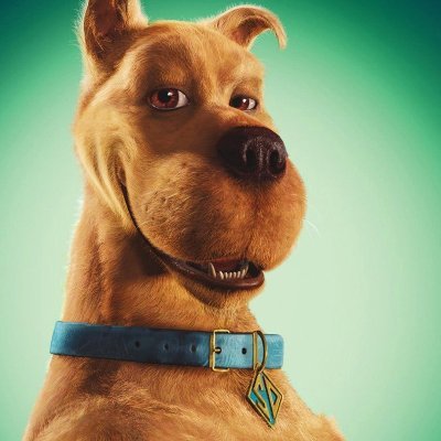 ScoobOSRS's profile picture. 