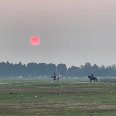 Suncmsz's profile picture. 