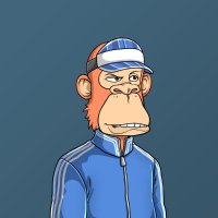 NeFTees (@cryptocowboytrx) 's Twitter Profile