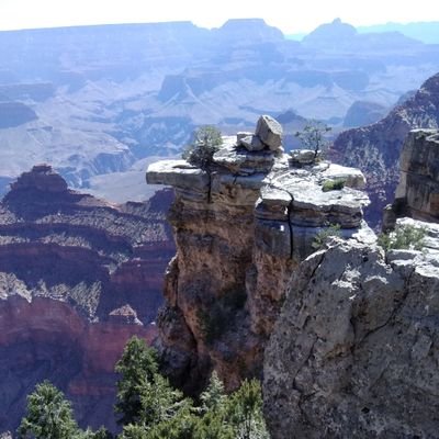 pattytsrm's profile picture. 
