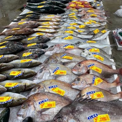 qGAVtKxHnGcUZTa's profile picture. 香川県でスーパーの鮮魚部やってます！ インスタもやってますのでよろしくお願いします