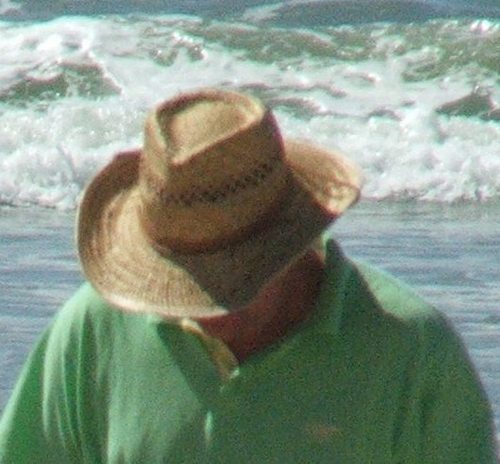 fatheroftwopeas's profile picture. 