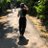 flavia_zamai's profile image