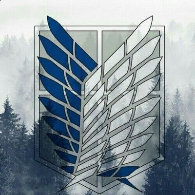 MisaelV34056688's profile picture. 