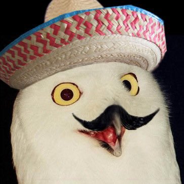 bobaranda's profile picture. 