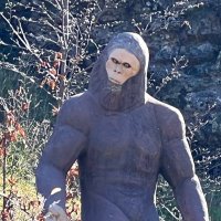 Andrew Kroymann (@andrewkroymann) 's Twitter Profile