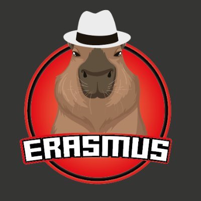 Erasmusbrussel Esports