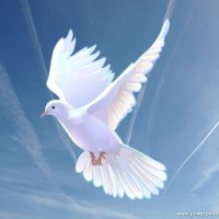 Sir Rukanika (@sirrukanika01) 's Twitter Profile Photo