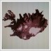 Icelandic Photos (@icelandicphotos) Twitter profile photo Icelandic Photos (@icelandicphotos) Twitter profile photo