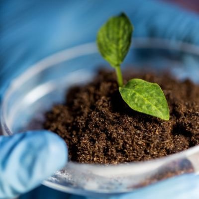 Takwakh5's profile picture. Biologist 

Plant Sciences 🌱